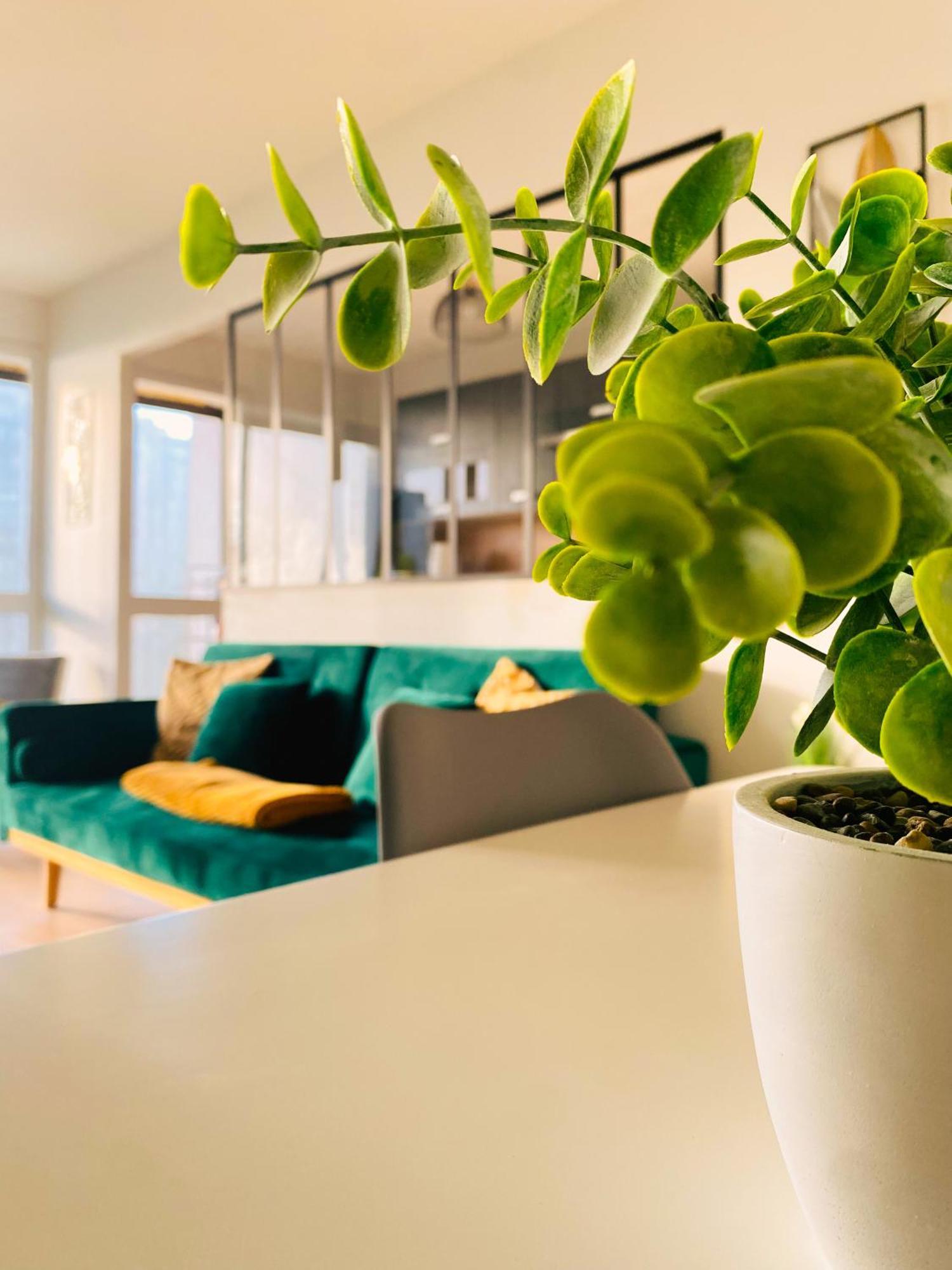 Spacieux Appartement Lumineux 브레스트 외부 사진